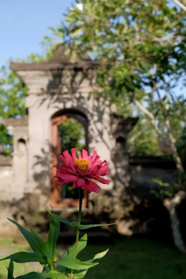 Sua Bali Villa Ubud 0*,  Indonesien